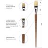 Brush art is a professional ART BRAUBERG "CLASSIC", the bristle brush, flat, No. 30, long handle