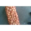 Onions SPE-GROUP