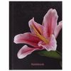 BRAUBERG / Cuaderno "Lily" PEQUEÑO FORMATO 80 hojas A6, 110х147 mm, cubierta laminada, barniz selectivo, jaula