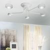 ПЕТРАСВЕТ / PETRASVET / Ceiling chandelier S2396-5, 5xGX53
