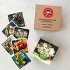 Zartoy / Cubes with pictures "Flowers"