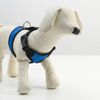 Пижон / Dude / Soft neoprene harness, size M, blue