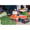 Help finding importers in India for your products