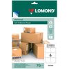 Lomond / Self-adhesive label A4 6 pcs.