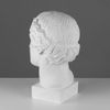 Мастерская Экорше / Plaster figure "Head of the Amazon"