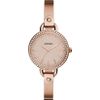 Reloj Fossil / Classic Minute BQ3163