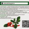 Сашель / B.WELL / Bactericidal recirculator, ozone-free "ED-MED-15-S"