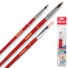 Brush PYTHAGORAS, set of 3 PCs (squirrel round # 3, round goat No. 4, bristle flat No. 6)
