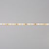 SMARTBUY / LED strip, 12V
