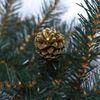 Сималенд / Coniferous garland "Winter's Tale with Golden Cones"