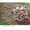 Cashew nut ww240