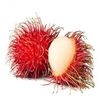 Lychee