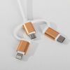 Like me / Diary with built-in charger "Lion"