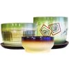 Тарусский художник / Tarusa artist / Cuvette "Bonsai", 2L