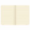 BRAUBERG / Quaderno 60 l. copertina in similpelle in linea SoftTouch, cuciture, B5 (179x250mm), BIANCO, RAINBOW / 2 pz.