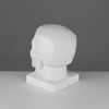 Мастерская Экорше / Plaster figure "Skull of generalized planes"
