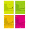 ErichKrause / Notebook on rings A4 80 sheets in a cage "Neon"