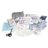 FEST / First aid kit for FEST workers, plastic cabinet, composition - by order No. 169n