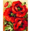 Опт-картина / Malen nach Zahlen 40x50 Feurige Mohnblumen