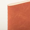 BRAUBERG / Notebook 48 y. checkered cover textured leatherette, stitching, A5 (147x210mm), ORANGE, SKY / 10 pcs.