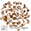 Boletus dried