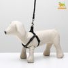 Пижон / Dude / Ammunition set "Polka Dots", width 1 cm, harness 27-42 cm, leash 120 cm, black