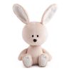 BUDI BASA / Stuffed toy Hare Antosha