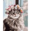 Опт-картина / Pintura por números 40x50 GX 33397 Gato e grinalda