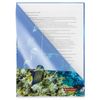 Folder area BRAUBERG "SEA WORLD", A4, 150 micron, color printing