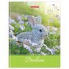 BRAUBERG / Diary 5-11 grade 48 l., Hard, glossy lamination, with a hint, "Cute rabbit" / 10 pcs.