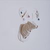 Фабрика Рекламных Технологий / 3D figure – Head of red deer KVK Brown