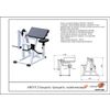ARMS / Biceps-triceps pendulum