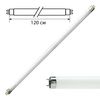 PHILIPS / Lâmpada fluorescente TL-D 36W / 54-765, 36 W, tampa G13, em forma de tubo 120 cm, luz do dia fria