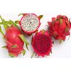 Dragon fruit or pitaya