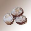 Shortbread "Shell"