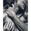Опт-картина / Malen nach Nummer CAKADU 40x50 Passion