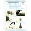 Tsar tree / Artificial spruce "Angelica", 150 cm, green