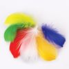 Decorative ostrich feathers, 10-12 cm, 24 pieces, 6 colors, bright, assorted, TREASURE ISLAND