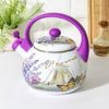 Доляна / Dolana / Whistle kettle "Spring", 2.2 l, fixed handle, purple