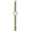 Skagen / Đồng hồ Anita SKW2907
