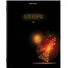 BRAUBERG / Exercise books, 12-PIECE SET, "DARK", 48 sheets, glossy UV varnish