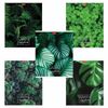 HATBER / Notebook А5 96l. bracket, cage, cardboard cover, "MOREgreen" / 30 pcs.
