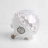 Luazon Lighting / Lighting device "Crystal ball"