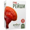 champignon reishi