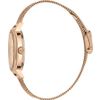 Just Cavalli / Наручные часы SET JC1L146M0075
