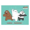 HATBER / Album for drawing "The whole truth about bears" (5 types), 32 sheets A4, 205x290 mm, staple, cardboard cover