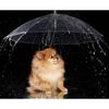 Пижон / Guarda-chuva para animais "Druzhok", d = 76 cm