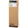 EPSON / Inkjet printer cartridge (C13T694100) Epson SC-T3000 / 5000 and others, black, 700 ml, glossy paper, original