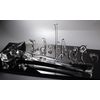 Glass sculpture "Indomitable"