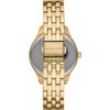 Michael Kors / Lexington MK6739 Watch